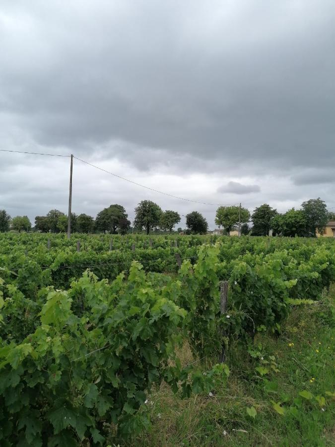 Maisonnette De Charme Entre Plages Et Estuaire Country house Saint-Vivien-de-Medoc